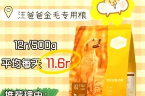 养大金毛需要多长时间？（探讨大金毛成长、训练和陪伴的时间需求）