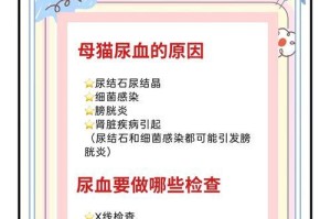 揭秘猫咪血尿之谜（探究猫咪血尿的原因及应对措施）