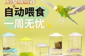 如何科学喂养小鹦鹉鸟？（了解小鹦鹉鸟的食物需求和喂养技巧）