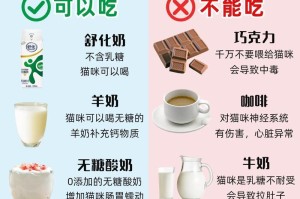 猫猫的饮食习惯揭秘（以猫猫能吃人吃的什么为例，探讨猫猫的食物偏好与营养需求）