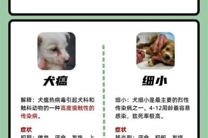 狗狗犬瘟后遗症（了解狗狗犬瘟后遗症的重要性，有效应对）