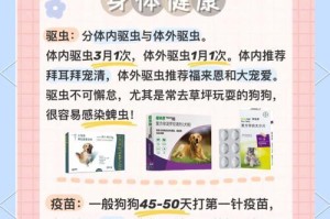 萨摩耶饲养常见错误及其对狗狗的伤害（避免这些错误，保护你的萨摩耶健康快乐）