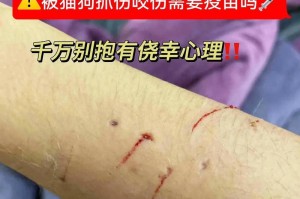 幼犬抓伤后的症状及处理方法（幼犬抓伤，需警惕以下症状！）