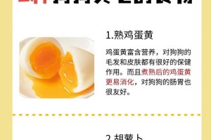 狗狗冬天合理的饮食安排（冬季喂养频率、食物选择和关键注意事项）
