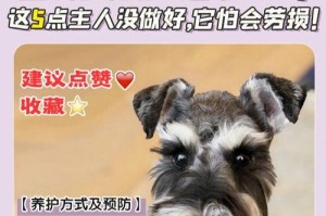 狗狗肝肿大的寿命有多长？（探讨狗狗肝肿大对其寿命的影响及预防措施）