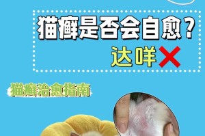 预防猫癣传染，关注猫咪和个人卫生（三招帮你远离猫癣，保护宠物和自己）