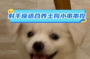 小狗的特点及其作用（探究小狗的特点及其在人类生活中的重要作用）