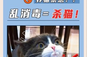 猫的口水可以消毒？揭开真相的科学解释（科学家研究证实，猫的口水具有强大的杀菌作用，但不应被滥用）