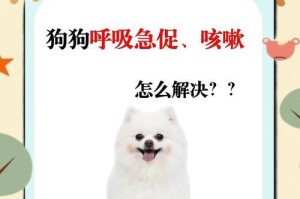 狗狗呼吸频率超过正常值可能存在健康问题（如何测量狗狗的呼吸频率及其常见异常值）
