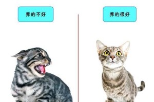 小心！这些食物对猫咪是禁忌（了解猫咪的饮食安全，守护它们的健康）