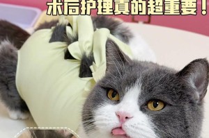 绝育后猫毛生长周期及注意事项（解析猫咪毛发生长周期，如何促进健康生长）