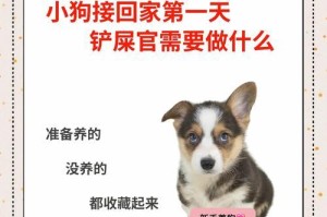 狗狗多久可以带出去溜？（掌握正确的时机，打造快乐健康的成长环境）