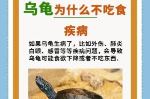 乌龟为什么还怕人？（探讨乌龟害怕人类的原因及其）