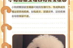 小狗的性成熟时期及特征（从出生到成年，小狗的发育过程及重要标志）