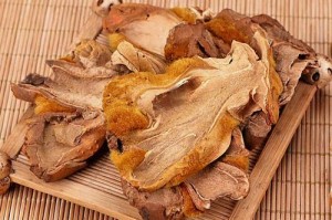 金毛狗的耳炎及治疗药物（了解金毛狗耳炎的症状和治疗药物）