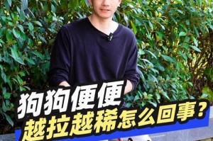 三个月大的狗狗饭后多久大便一次？（探究幼犬排便频率及建议的喂养时间表）