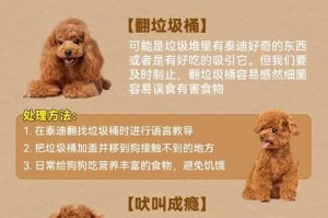 解析泰迪犬臭味原因及正确挤肛门腺方法（揭秘泰迪犬为何散发难闻气味，学习正确挤肛门腺的技巧）