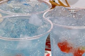 金鱼适宜的水质及其养护要点（了解金鱼适宜的水质，打造舒适的生活环境）