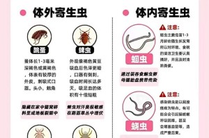 猫咪驱虫时间（了解猫咪体内驱虫的重要性及时间安排）