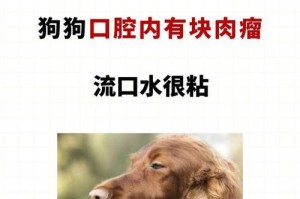 狗的唾沫——一种神奇的液体（解密狗的唾沫）