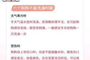 母狗顺产后多久可以洗澡（合理的洗澡时间对母狗恢复至关重要）