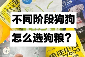 狗粮泡水时间的最佳选择（为了宠物的健康，精确掌握泡水时间）