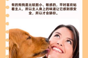狗狗舔尿的原因及解决办法（深入探究狗狗舔尿的行为及如何解决）