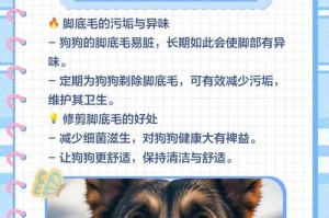 狗狗剃光毛需要多久？（了解适当的剃毛时间和频率）