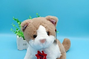 猫咪最喜欢的玩具是什么？（推荐给猫咪的丰富玩具，让它们快乐度过每一天）