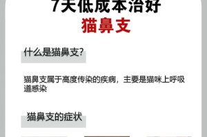 猫咪反复咳嗽可能并非仅仅是猫鼻支问题（注意细节，慢性病症或是真正的咳嗽根源）
