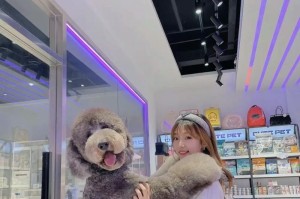 巨型贵宾犬盛况空前的出游（21只巨型贵宾犬壮观出游，引得路人纷纷关注）