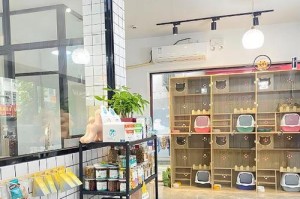 探寻宠物店中的各类小动物（揭秘宠物店里的可爱宠物）