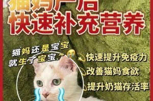 猫咪孕期如何科学补充营养（了解猫咪孕期所需营养，守护母子健康）