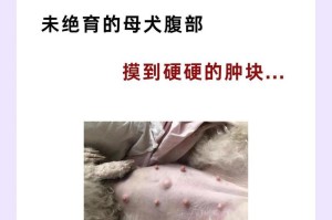 狗狗肚子的常见健康问题（了解狗狗肚子的常见健康问题，让它们健康快乐）