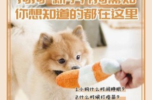 新生小狗的眼睛几天会睁开？（探索小狗眼睛睁开的奇妙过程）