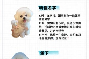 狗狗的记忆有多久？（揭秘狗狗记忆力持久的秘密）