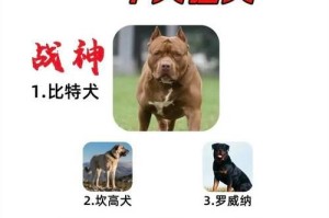 狗的品种及集大成的世界（探索狗的多样性，发现最受欢迎的品种）