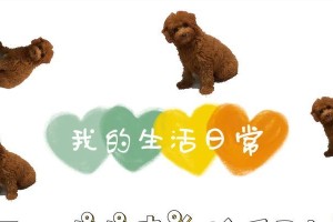 泰迪小狗剃胎毛的最佳时间与方法（打造可爱泰迪造型，胎毛修剪指南）