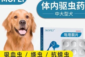 金毛幼犬驱虫指南（如何为你的宠物金毛幼犬进行有效的驱虫？）