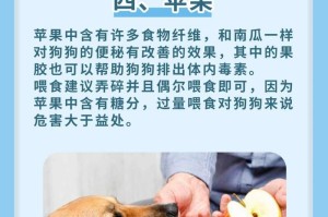 两个多月小狗的药物需求（为您的小狗选择适当的药物）