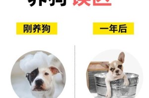 狗狗退烧需要多长时间？（了解狗狗退烧的过程与时间安排）