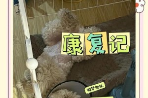 狗狗绝育后的恢复期（绝育手术对狗狗的影响以及恢复的关键要素）