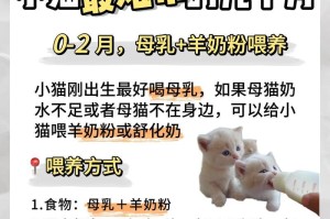 小猫刚出窝的饮食需求（宠物猫猫们需要什么样的饮食？）