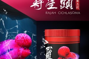 以罗汉喂什么起头快（罗汉饲料的选择和投喂方法）