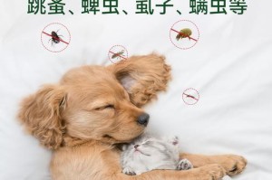 如何科学合理地进行狗狗体外驱虫（了解狗狗体外驱虫的频率及注意事项）