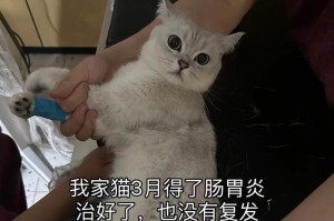 小猫拉肚子的原因及处理方法（解决小猫拉肚子的有效办法）