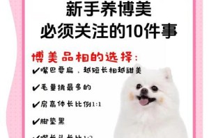 博美脸上毛长出需要多久时间？（了解博美狗狗的毛发生长周期及护理方法）