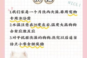 喂小狗吃点什么东西？（小狗的饮食需求与合理选择）