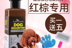 贵宾狗洗澡时间与注意事项（贵宾洗澡的最佳时机和正确方法）