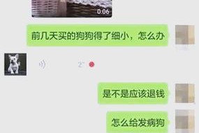 狗狗买卖渠道大揭秘！（了解狗狗买卖渠道，选择适合的方式带回家。）